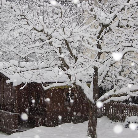 Haus Josef Bed & Breakfast Mayrhofen Luaran gambar