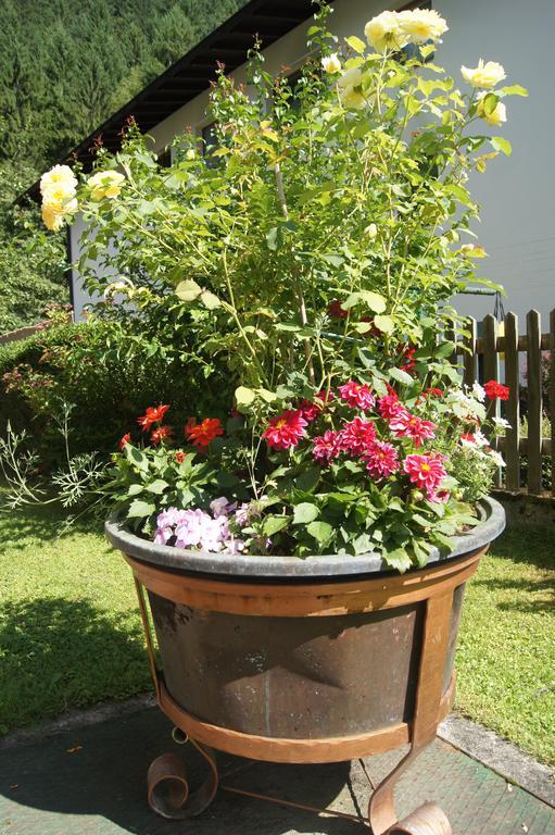 Haus Josef Bed & Breakfast Mayrhofen Luaran gambar